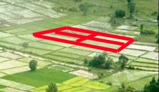 Sawah padi dilihat dari atas dan kemiripannya dengan kanji 田 (ta)